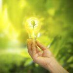 62157469 2448281378739161 4355092306953502720 N 2 - Grupo MGS